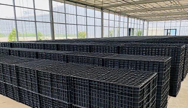 塑料托盘性能差异与适用条件的关联分析